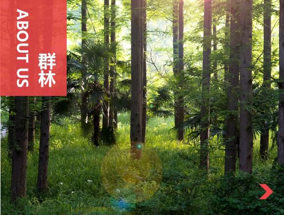 什么叫刨花板？